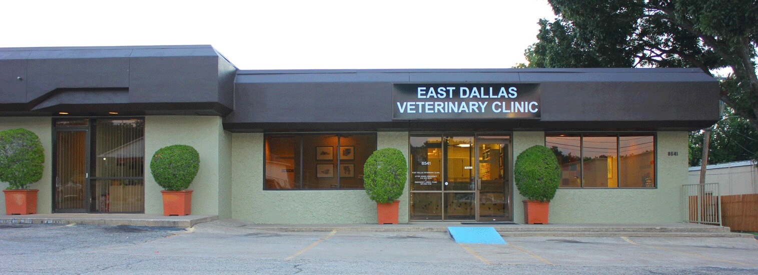 front-of-building-dallas-texas-veterinarians