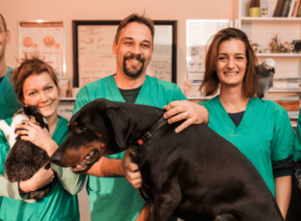 The Benefits of Using an AAHA-Accredited Veterinary Hospital